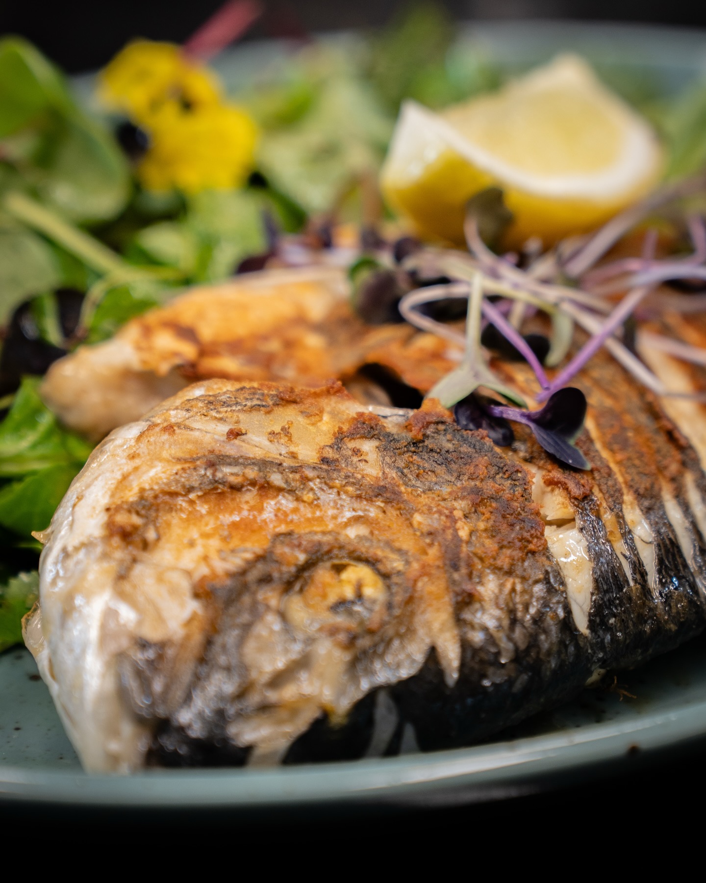 Im Ganzen gebratene Goldbrasse auf Sommersalat aus unserer aktuellen Tageskarte! 🐟🥗

#b3 #wattens #menü #fisch #foodlover5#b3, #wattens, #menü, #fisch, #foodlover