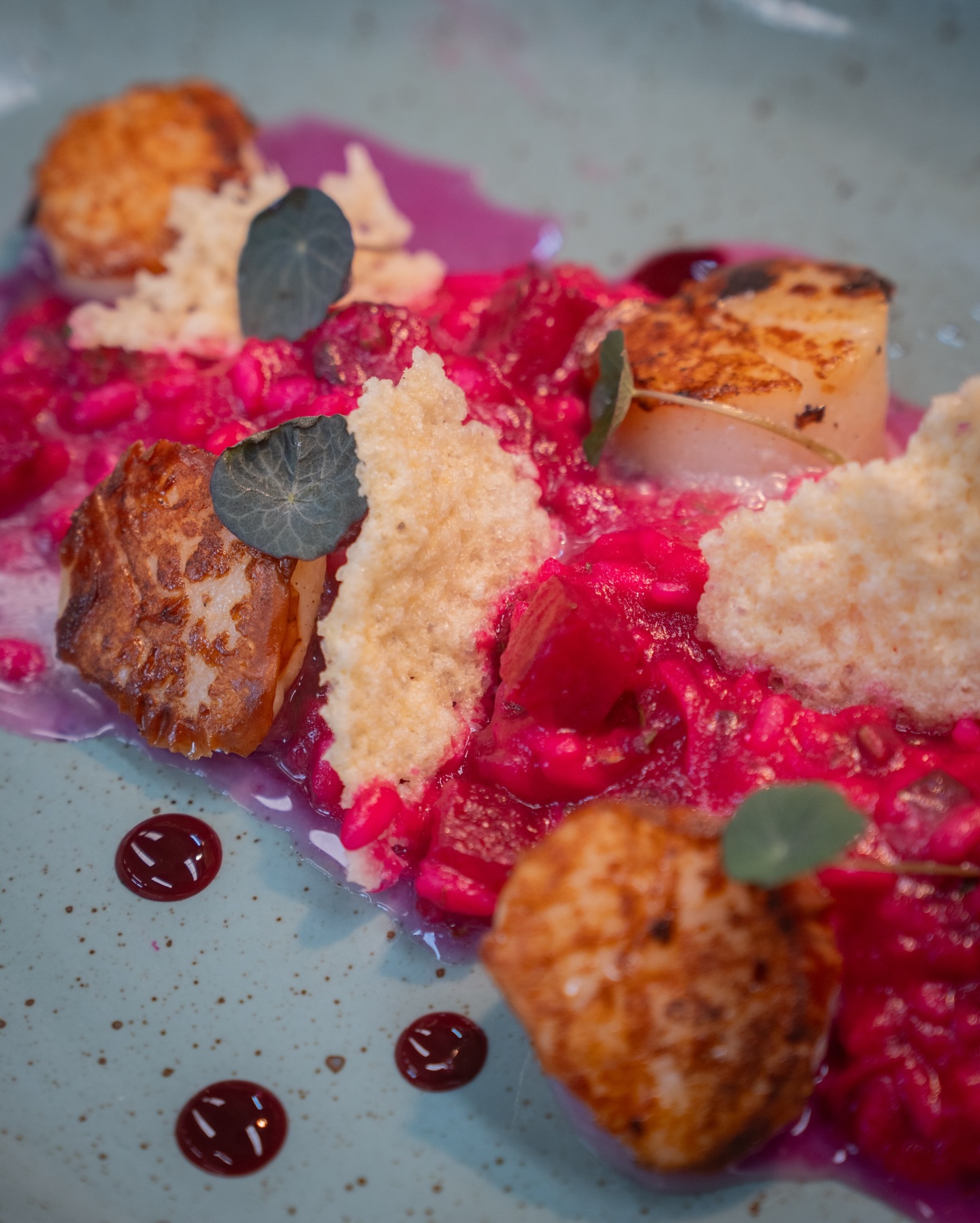 Jakobsmuschel auf Rote-Bete-Risotto aus unserer Valentinstagskarte! 😍

#b3 #wattens #restaurant #menü #valentines13#b3, #wattens, #restaurant, #menü, #valentines