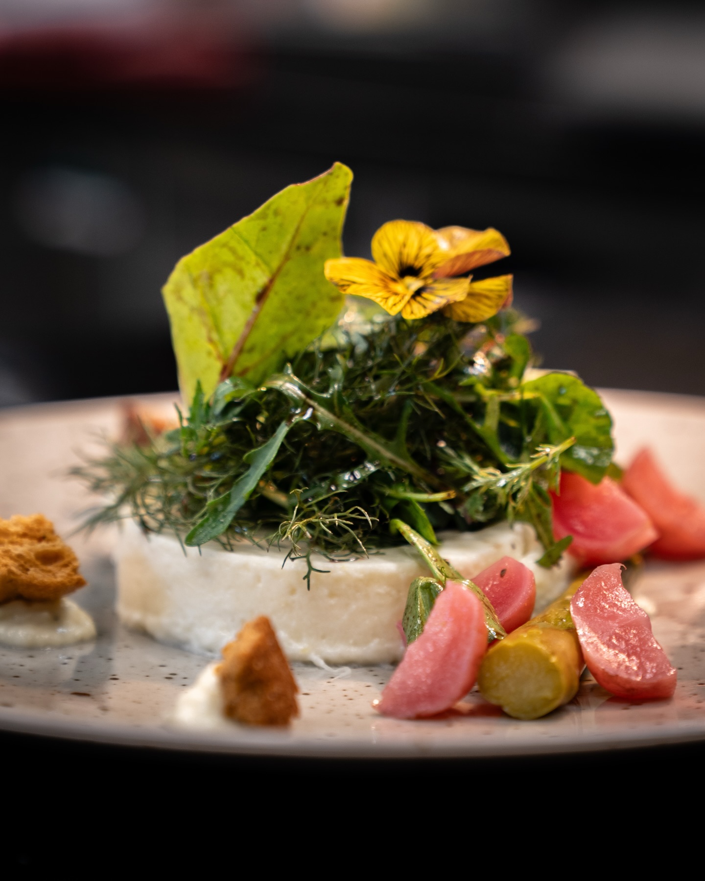 Spargel Panna Cotta mit eingelegten Radischen & Baby Leaf aus unserer aktuellen Tageskarte! 🤩

#b3 #wattens #restaurant #bar #menü5#b3, #wattens, #restaurant, #bar, #menü