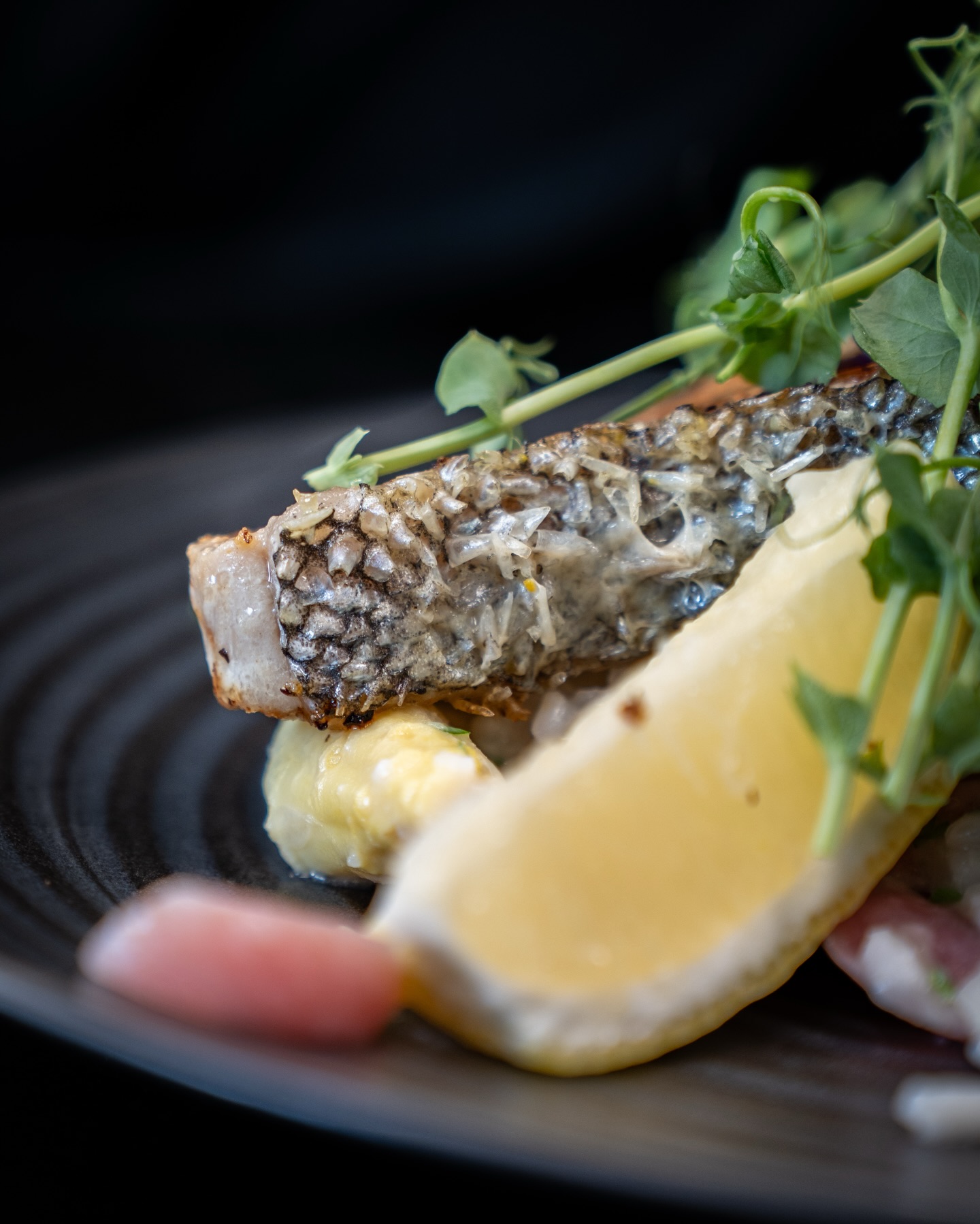 Huchenfilet auf Spargelrisotto & Radischen aus unserer aktuellen Tageskarte! 🐟🍚

#food #foodlover #tasty #restaurant #eatfresh8#food, #foodlover, #tasty, #restaurant, #eatfresh