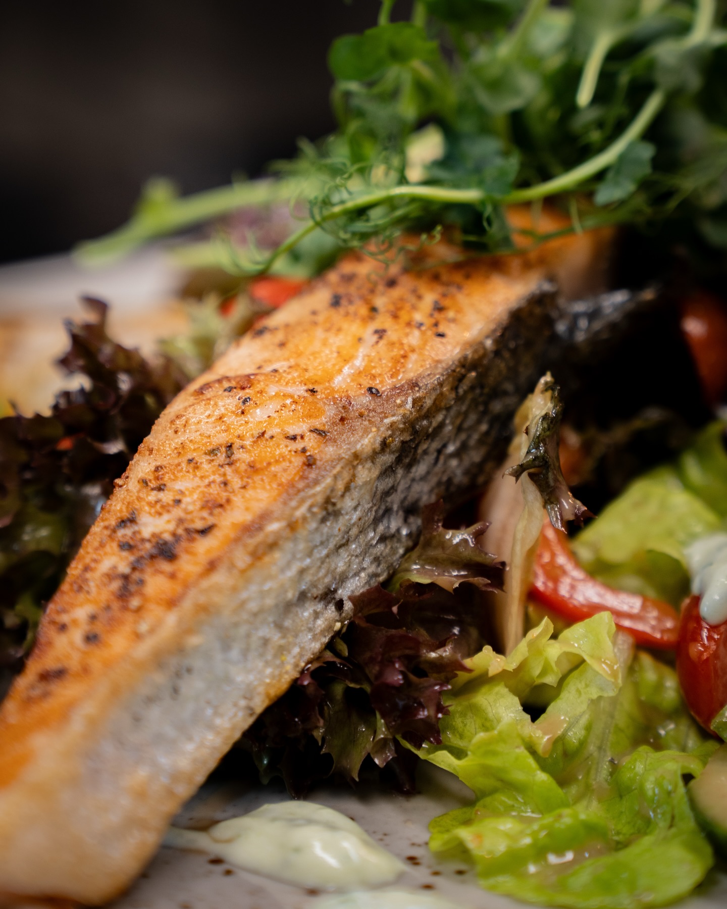 Fischgrillteller auf Sommersalat aus unserer aktuellen Wochenkarte! 🐟🥗

#b3 #wattens #restaurant #bar #fisch8#b3, #wattens, #restaurant, #bar, #fisch