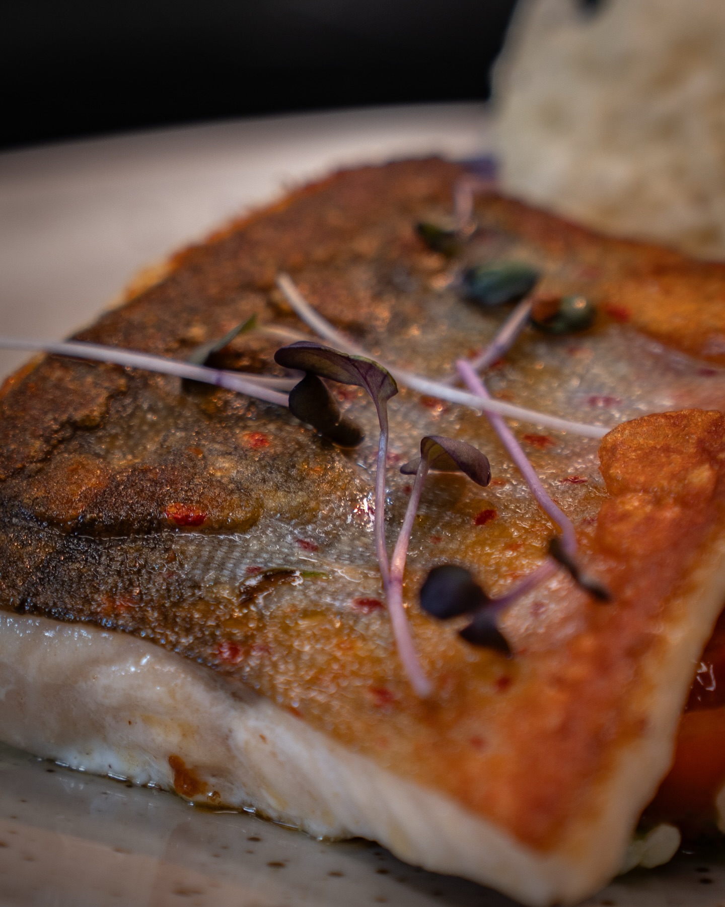 Saiblingsfilet auf Bärlauchrisotto aus unserer aktuellen Tageskarte! 🐟

#b3 #wattens #restaurant #menü #fish12#b3, #wattens, #restaurant, #menü, #fish