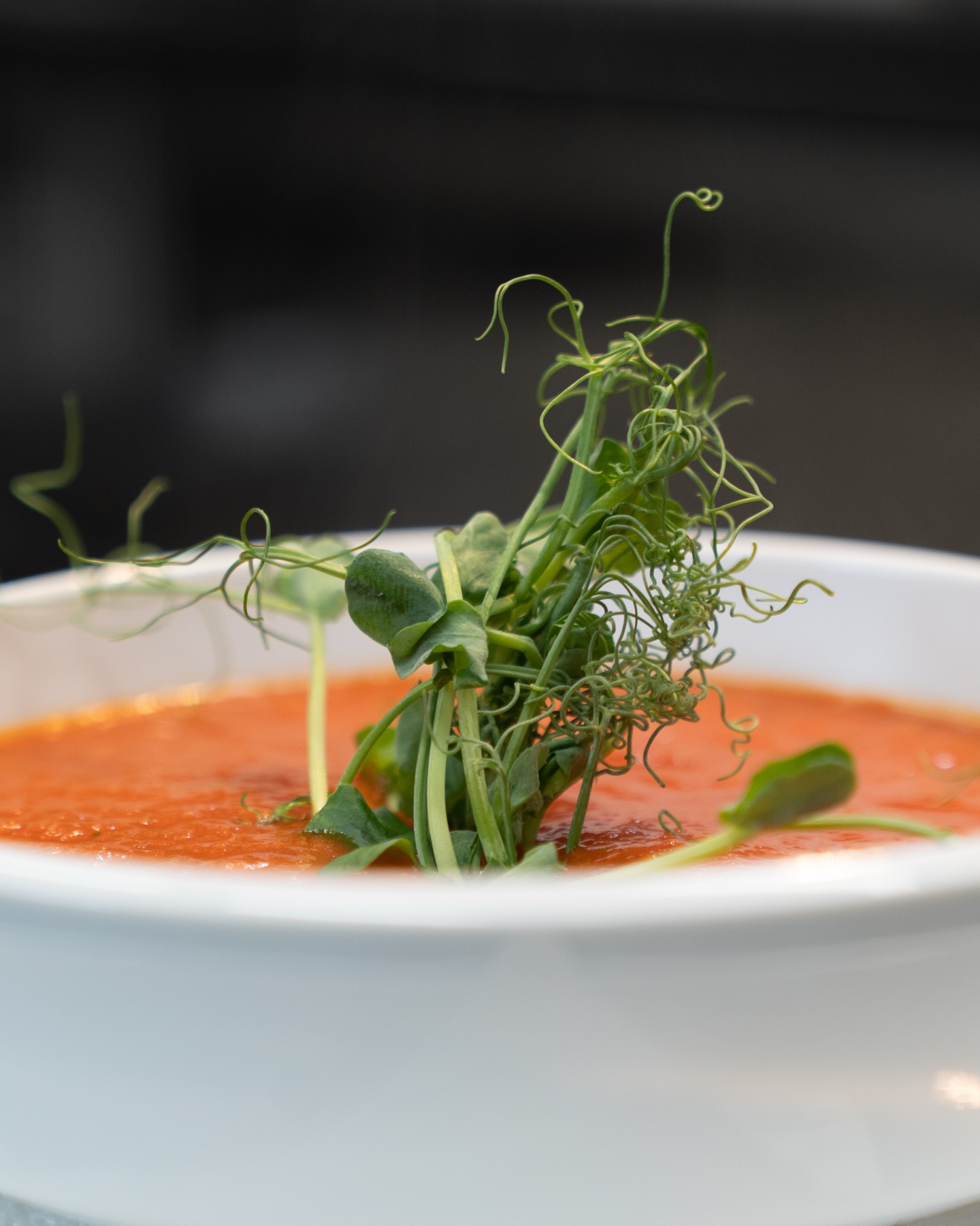 Tomatencremesuppe aus unserer aktuellen Tageskarte! 🍅

#b3 #wattens #restaurant #menü #tomatosoup8#b3, #wattens, #restaurant, #menü, #tomatosoup