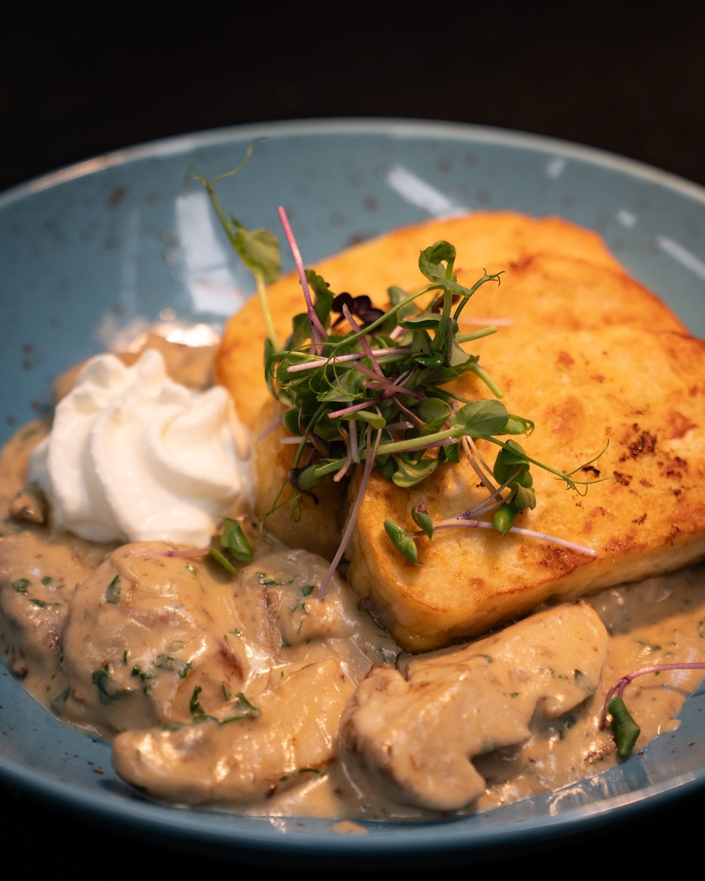 Steinpilze a la Creme Knödel aus unserer aktuellen Tageskarte! 🍄‍🟫#b3 #wattens #restaurant #bar #lounge #food #foodlover #drinks #beer #wine #party #events #catering #foodporn #instafood #dinner #breakfast #lunch #delicious #yummy #coffee #cafe #tasty #cocktails #homemade #gastro #gastronomie #tirol #menü22#b3, #wattens, #restaurant, #bar, #lounge, #food, #foodlover, #drinks, #beer, #wine, #party, #events, #catering, #foodporn, #instafood, #dinner, #breakfast, #lunch, #delicious, #yummy, #coffee, #cafe, #tasty, #cocktails, #homemade, #gastro, #gastronomie, #tirol, #menü